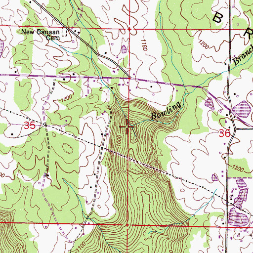 Topographic Map of Bowling Branch, AL