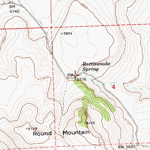 Topographic Map of Rattlesnake Spring, OR