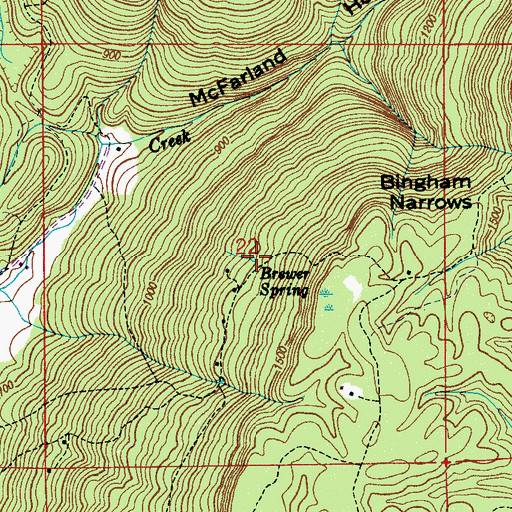 Topographic Map of Brewer Spring, AL