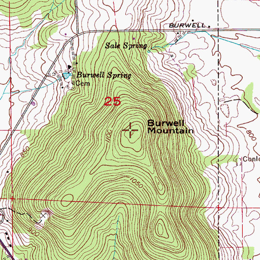 Topographic Map of Burwell Mountain, AL