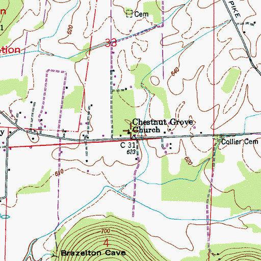 Topographic Map of Chestnut Grove Methodist Church, AL