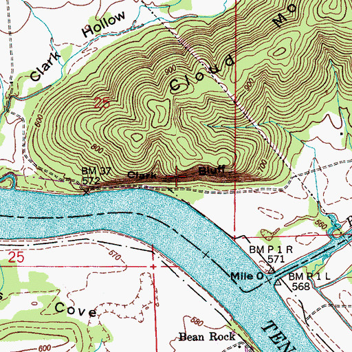 Topographic Map of Clark Bluff, AL