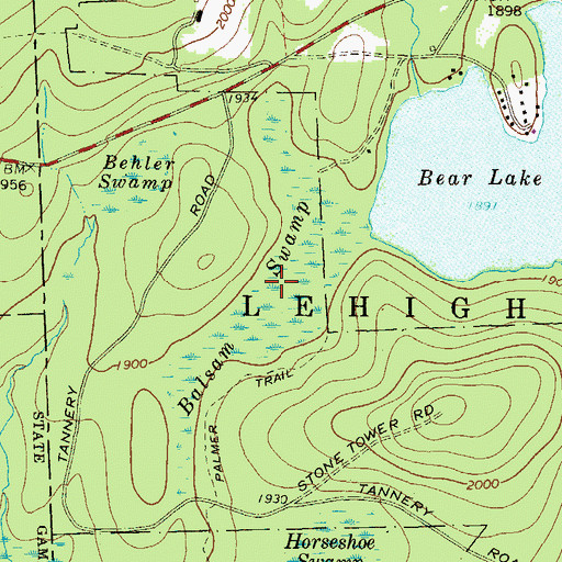Topographic Map of Balsam Swamp, PA