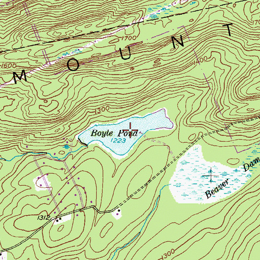 Topographic Map of Boyle Pond, PA