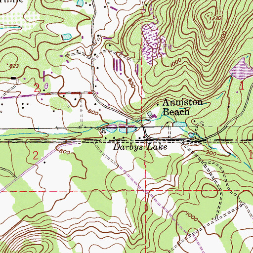 Topographic Map of Darbys Lake, AL