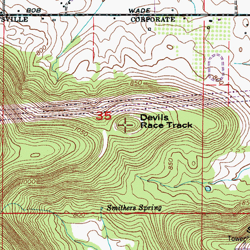 Topographic Map of Devils Race Track, AL