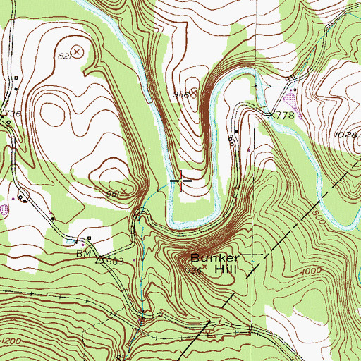Topographic Map of Cranberry Run, PA