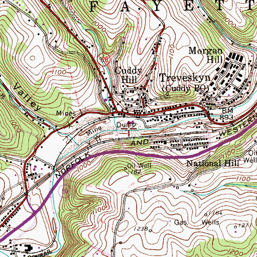 Topographic Map of Dolphin Run, PA