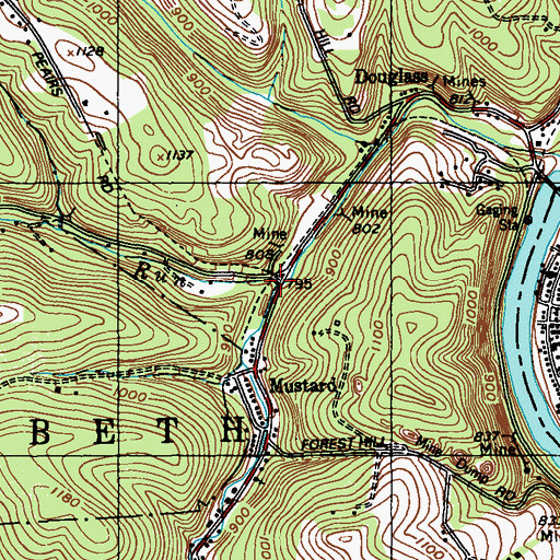 Topographic Map of Douglass Run, PA