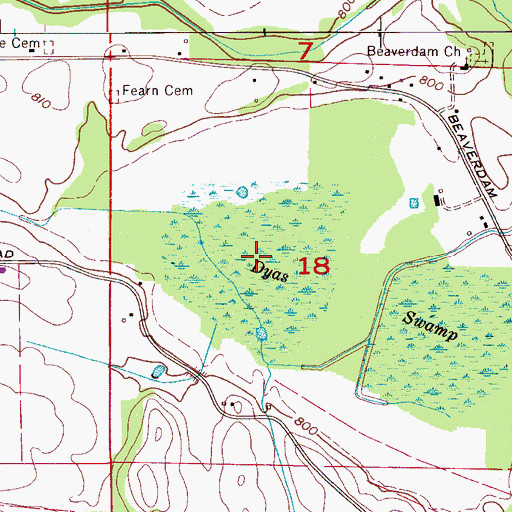 Topographic Map of Dyas Swamp, AL