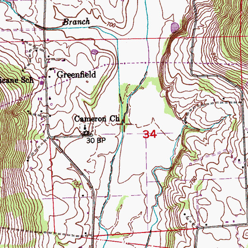 Topographic Map of Elder Branch, AL