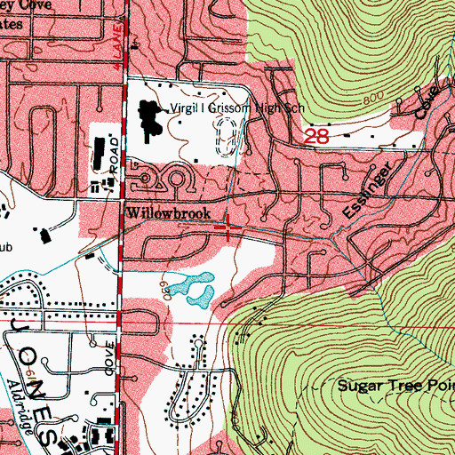 Topographic Map of Esslinger Cove, AL