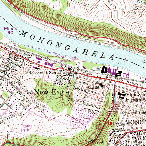 Topographic Map of New Eagle, PA