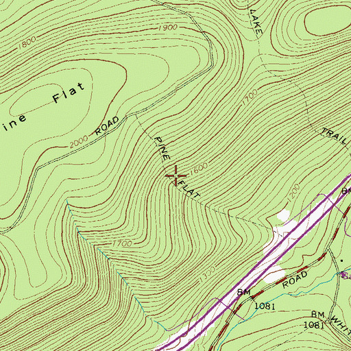 Topographic Map of Pine Flat Trail, PA
