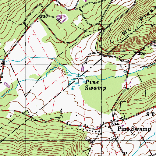Topographic Map of Pine Swamp, PA