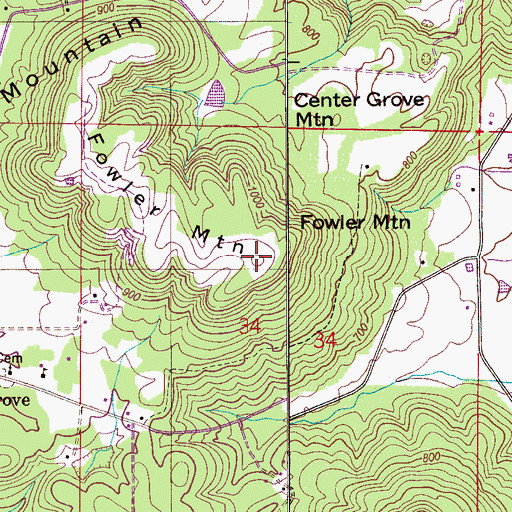 Topographic Map of Fowler Mountain, AL