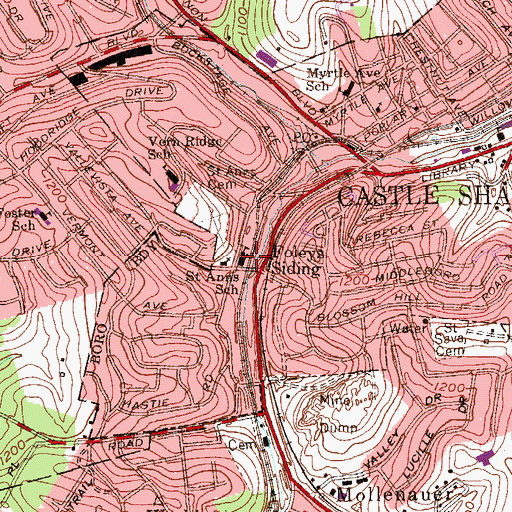 Topographic Map of Saint Anns School, PA