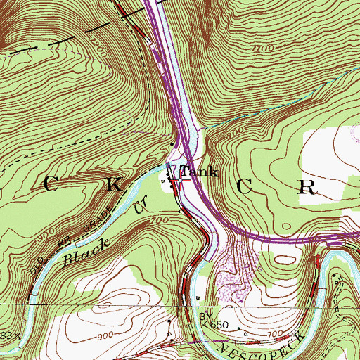 Topographic Map of Tank, PA