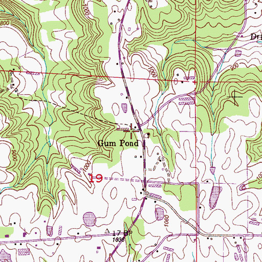 Topographic Map of Gum Pond, AL