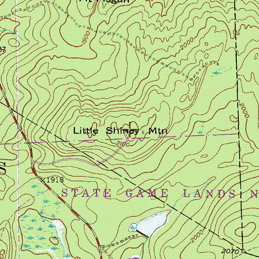 Topographic Map of Little Shiney Mountain, PA