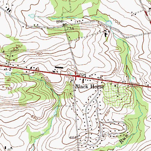 Topographic Map of Black Horse, PA