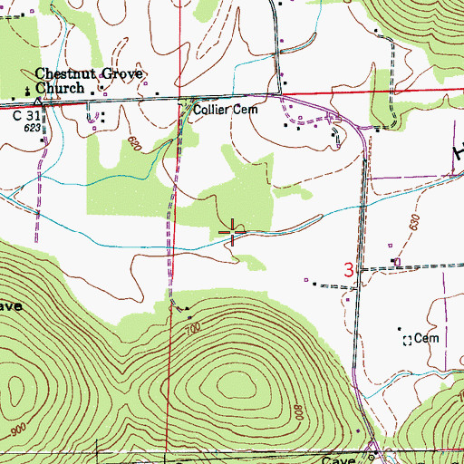 Topographic Map of Horse Cove, AL