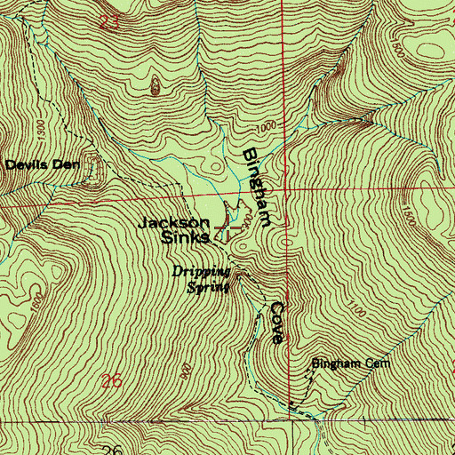 Topographic Map of Jackson Sinks, AL