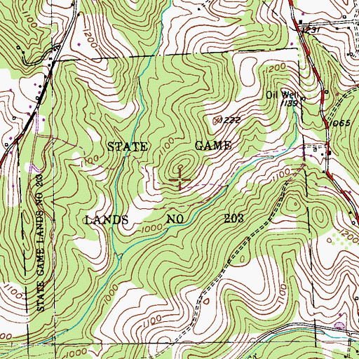 Topographic Map of State Game Lands Number 203, PA