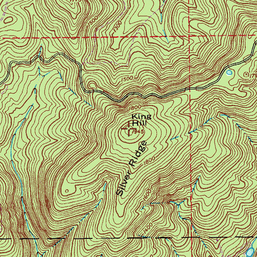 Topographic Map of King Hill, AL