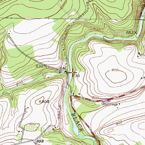 Topographic Map of Scotch Run, PA