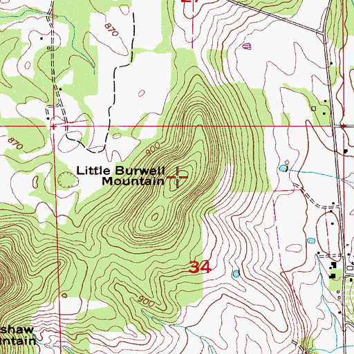 Topographic Map of Little Burwell Mountain, AL