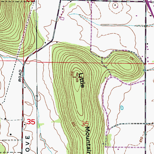Topographic Map of Little Mountain, AL