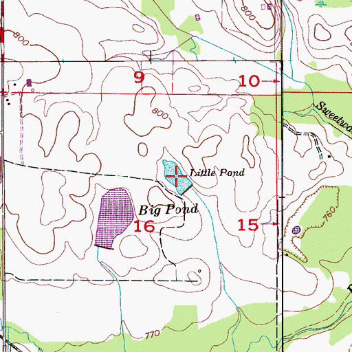Topographic Map of Little Pond, AL