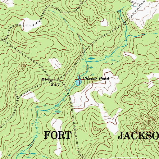 Topographic Map of Chaver Pond, SC