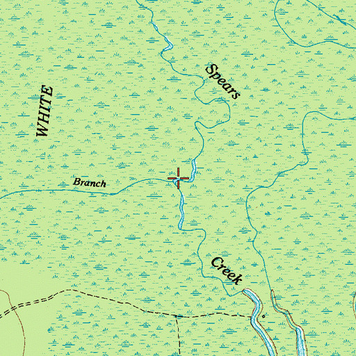 Topographic Map of Moke Branch, SC