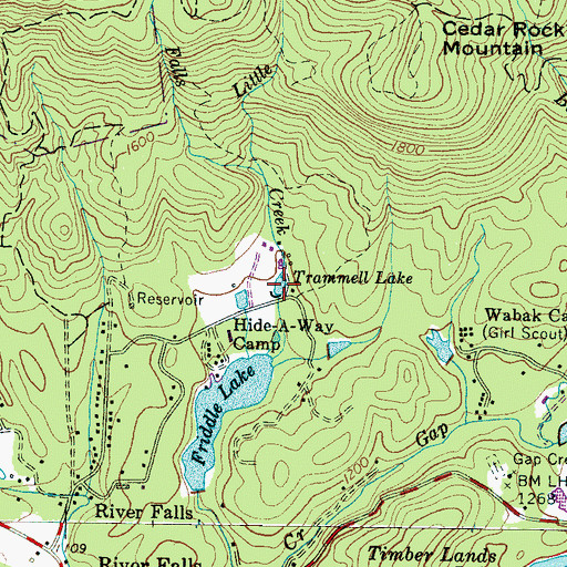 Topographic Map of Trammell Lake, SC