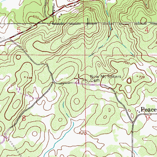 Topographic Map of New Mount Sellers Cemetery, AL