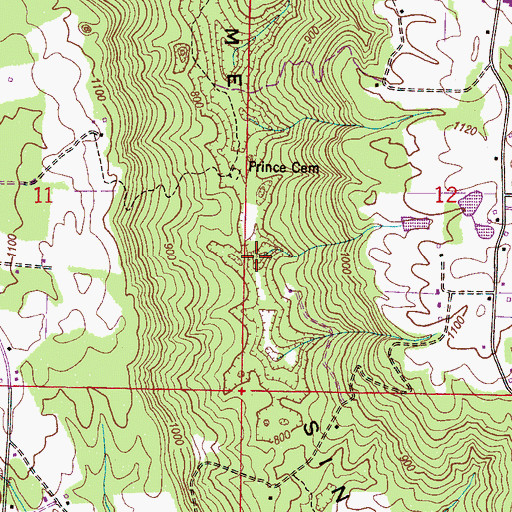Topographic Map of Newsome Sinks, AL