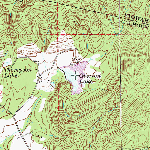 Topographic Map of Overton Lake, AL