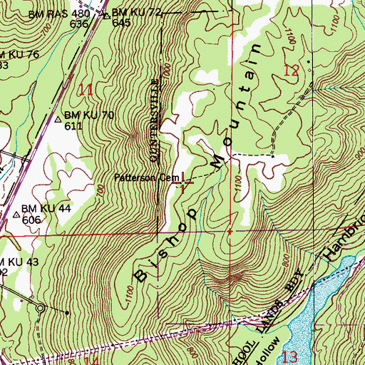 Topographic Map of Patterson Cemetery, AL