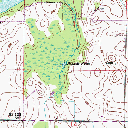 Topographic Map of Pickett Pond, AL