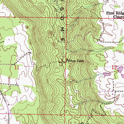 Topographic Map of Prince Cemetery, AL
