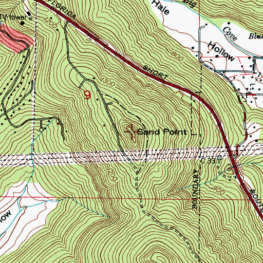 Topographic Map of Sand Point, AL