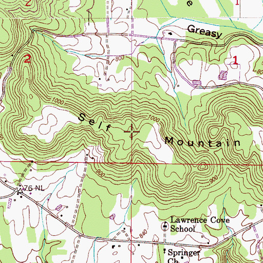 Topographic Map of Self Mountain, AL