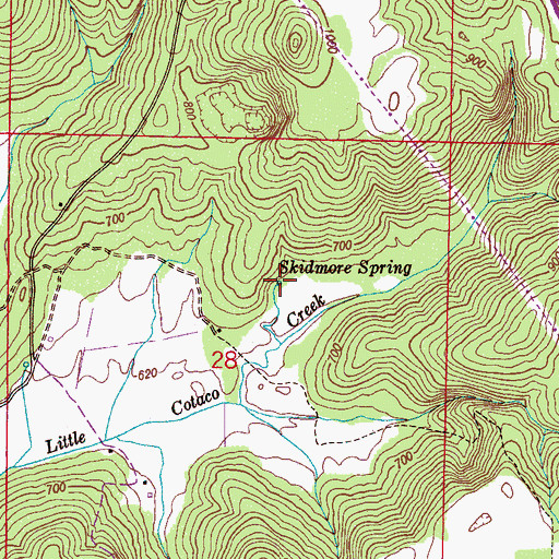 Topographic Map of Skidmore Spring, AL