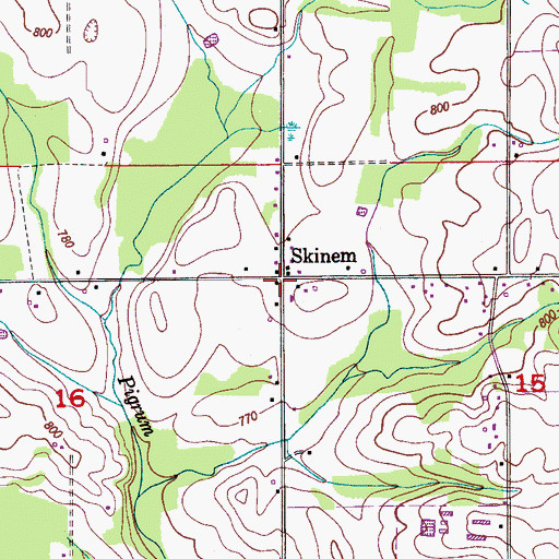 Topographic Map of Skinem, AL