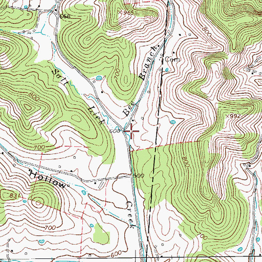 Topographic Map of Bee Branch, TN