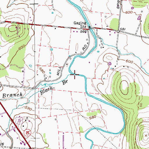 Topographic Map of Black Branch, TN
