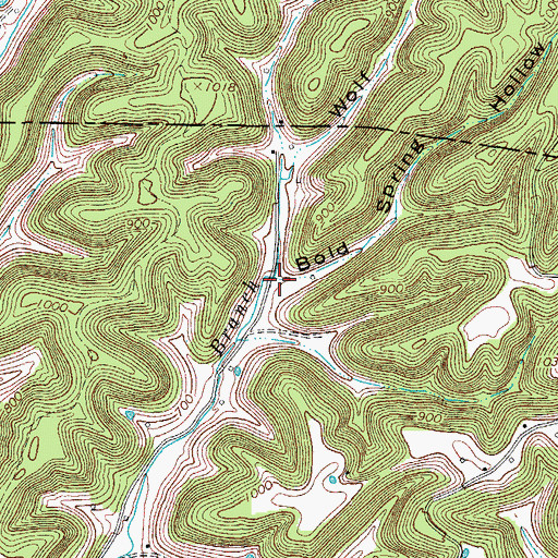 Topographic Map of Bold Spring Hollow, TN