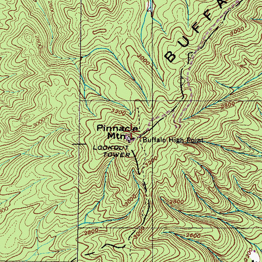 Topographic Map of Buffalo Mountain, TN